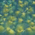 Панно Affresco Wallpaper Part 2 Livistona AF954-COL5 2x2,01 м