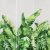 Панно Affresco Wallpaper Part 2 Large Palm Foliage AB131-COL5 2x2,01 м