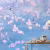 Панно Affresco Wallpaper Part 2 Chinese Motif AB121-COL4 2x4,02 м фото в интерьере