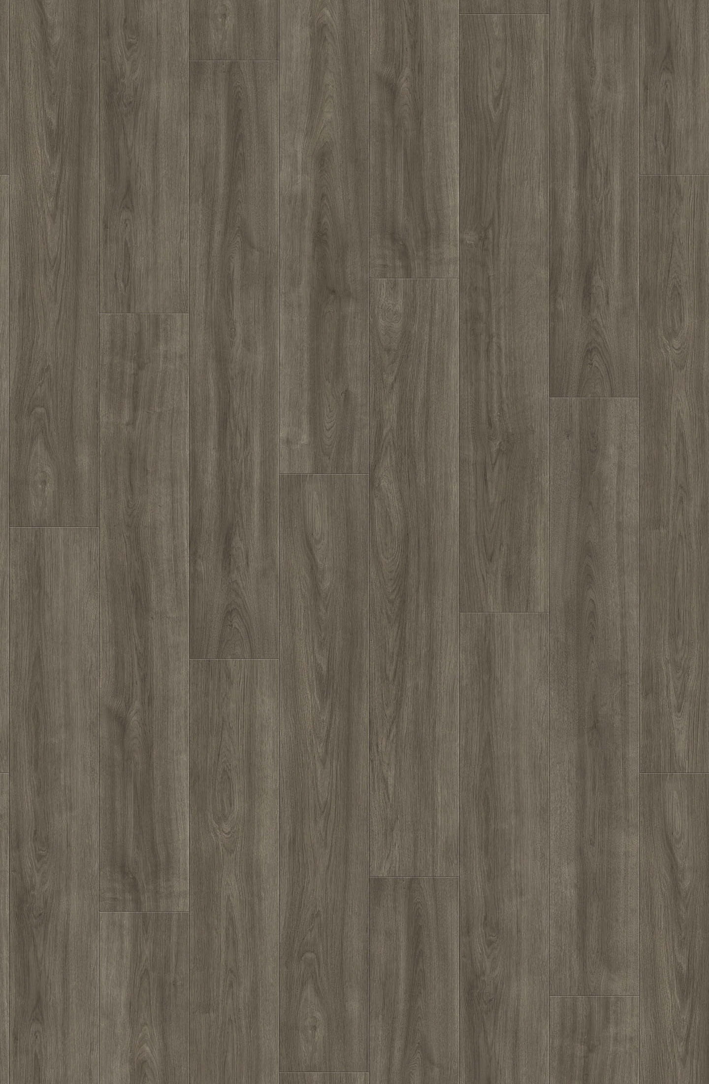 Ламинат Haro Tritty 100 Дуб Элеганза Античный Серый 541471 1282×193×8