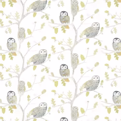 Обои Harlequin Book of Little Treasures Little Owls Kiwi 112627