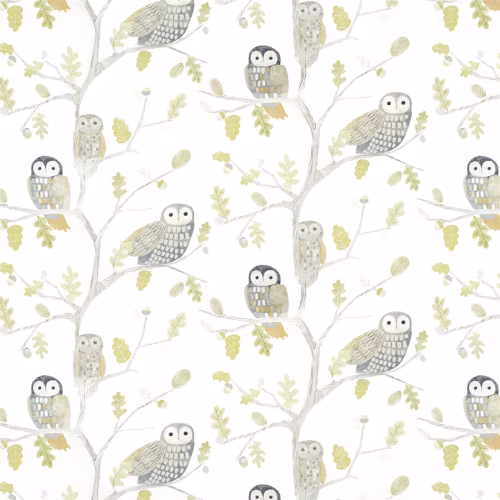 Обои Harlequin Book of Little Treasures Little Owls Kiwi 112627