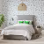 Обои Harlequin Book of Little Treasures Funky Jungle Navy 112630 фото в интерьере