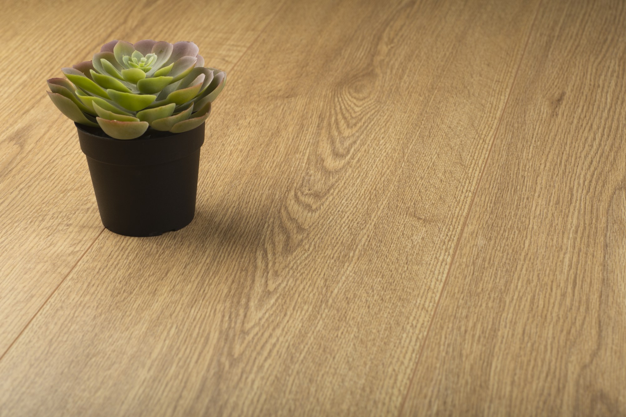 Ламинат Kronopol Aurum Infinity Aqua Oak Sun D 4593 2025×242×10 Ламинат Kronopol Aurum Infinity Aqua Oak Sun D 4593 2025×242×10