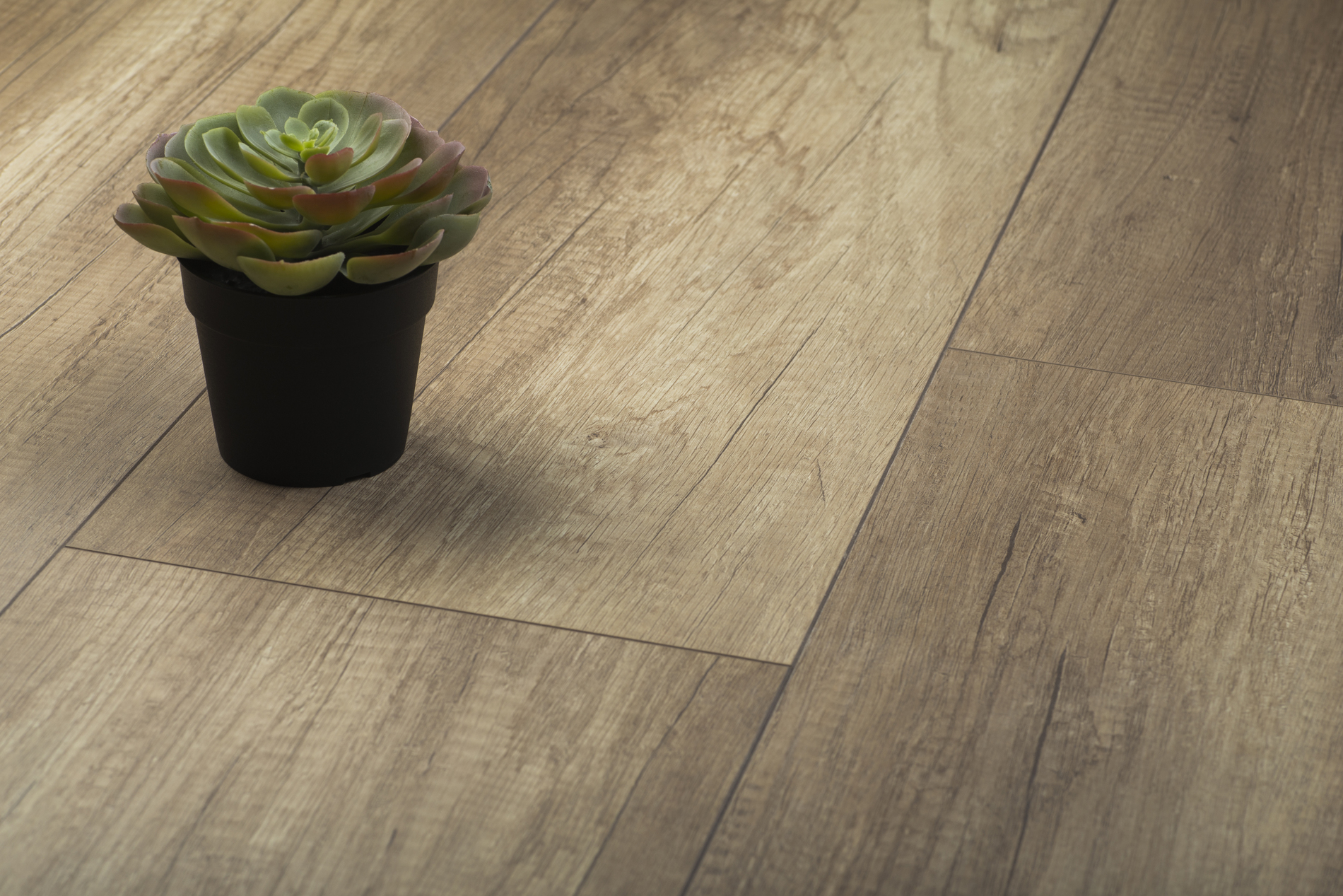 Ламинат Kronopol Platinium Paloma Oak Canyon D 3273 1380×244×8