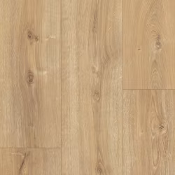 Ламинат Parador Basic 600XS Дуб Нова холоден 1744352 1285×243×8