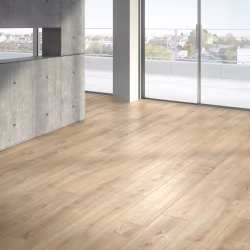 Ламинат Parador Basic 600XS Дуб Нова холоден 1744352 1285×243×8