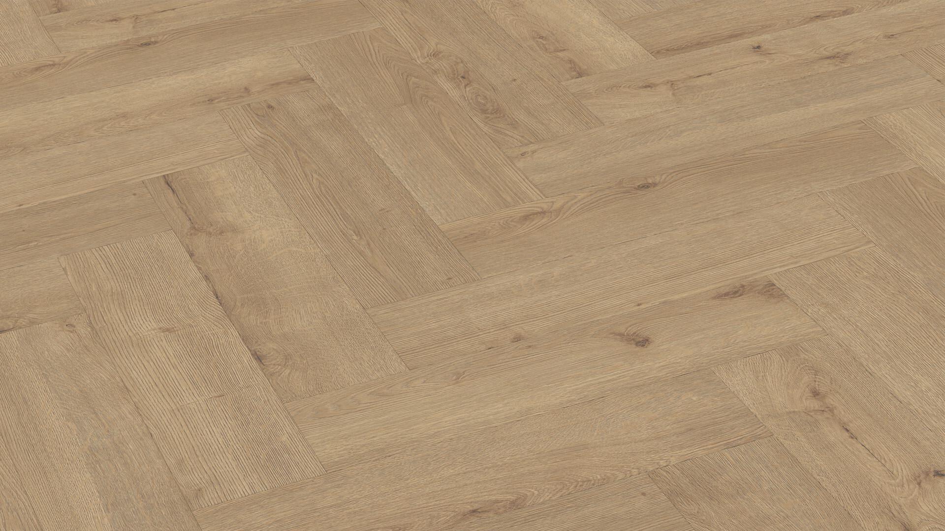Ламинат Meister Edition M6/7001 Дуб Шампань венгерская елка 620×155×8 Ламинат Meister Edition M6/7001 Дуб Шампань венгерская елка 620×155×8
