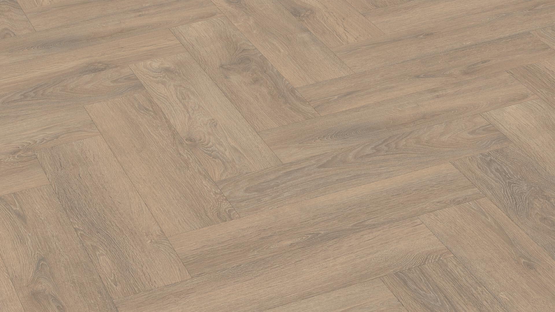Ламинат Meister Edition M6/7004 Дуб Песчаный венгерская елка 620×155×8