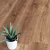 Кварцвиниловый SPC ламинат Alpine Floor Real Wood Дуб Роял ECO 2-1 1220×183×6