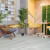 Кварцвиниловый SPC ламинат Alpine Floor Grand Sequoia Сагано ECO 11-22 1524×180×4 фото в интерьере