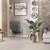 Кварцвиниловый SPC ламинат Alpine Floor Solo Виваче ECO 14-2 1220×183×3.5 фото в интерьере