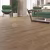 Кварцвиниловый SPC ламинат Alpine Floor Solo Ларгетто ECO 14-3 1220×183×3.5 фото в интерьере