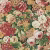 Обои Sanderson One Sixty Rose And Peony Amanpuri Red/Devon Green 217028