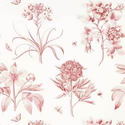 Обои Sanderson One Sixty Etchings & Roses Amanpuri Red 217054