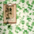 Обои Sanderson One Sixty Hedera Green 214593 фото в интерьере