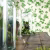 Обои Sanderson One Sixty Hedera Green 214593 фото в интерьере