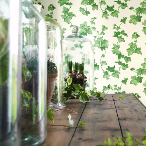 Обои Sanderson One Sixty Hedera Green 214593