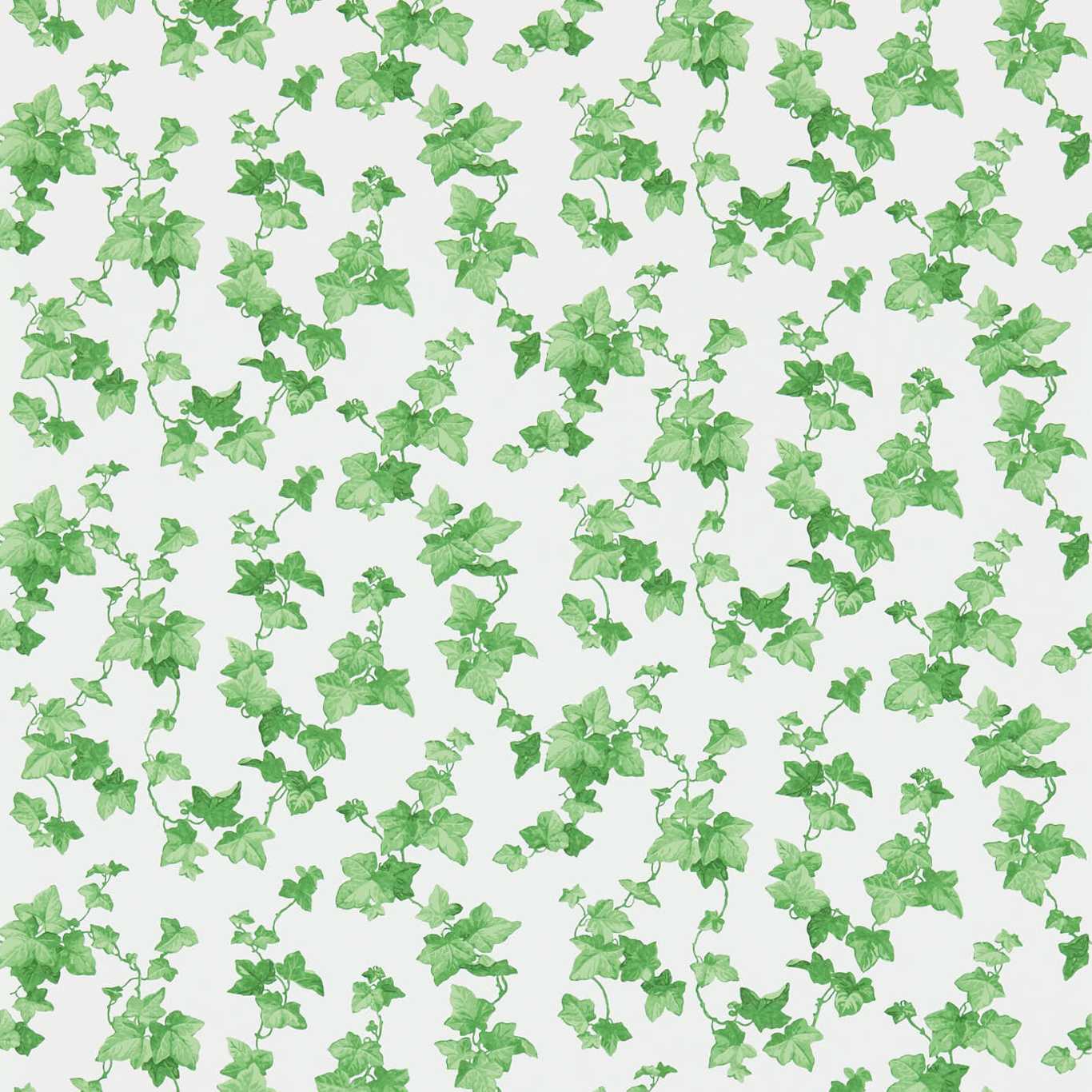 Обои Sanderson One Sixty Hedera Green 214593