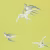 Обои Sanderson One Sixty Swallows Lime DVIWSW101