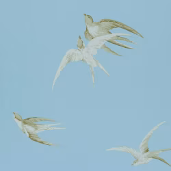 Обои Sanderson One Sixty Swallows Wedgwood DVIWSW103