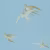 Обои Sanderson One Sixty Swallows Wedgwood DVIWSW103