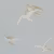 Обои Sanderson One Sixty Swallows Silver DVIWSW104