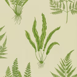 Обои Sanderson One Sixty Woodland Ferns Green DAPGWO102