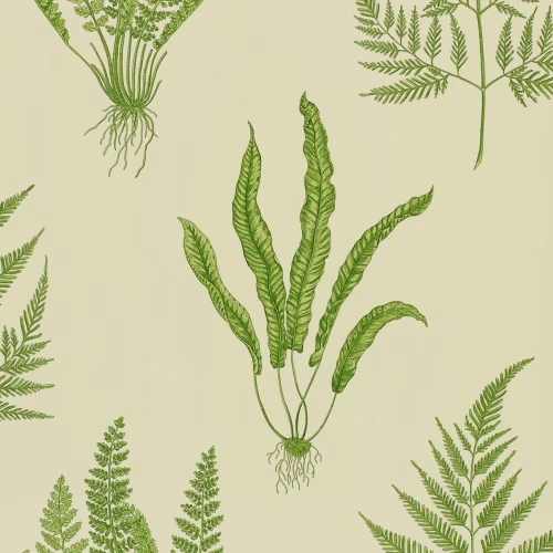 Обои Sanderson One Sixty Woodland Ferns Green DAPGWO102