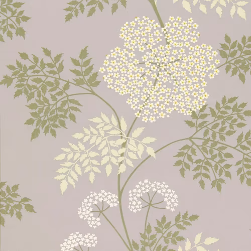 Обои Sanderson One Sixty Cowparsley Amethyst DOPWCO103