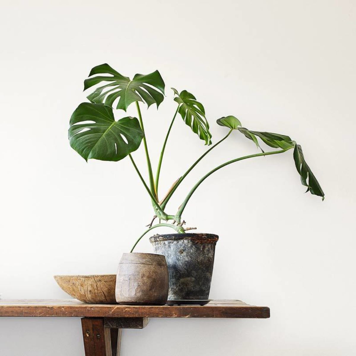 Обои Aura Living@Home 491641 11,2×0,52 фото в интерьере