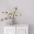 Обои Aura Secret Garden G78536 10,05×0,53 фото в интерьере