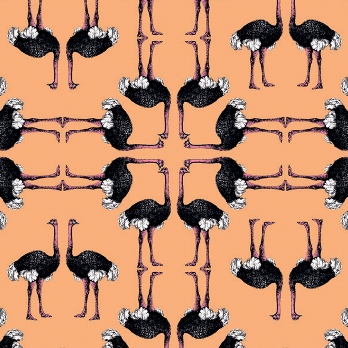 Обои Aura La Tapicera Avestruz Mandarina WP181051 10,05×0,53