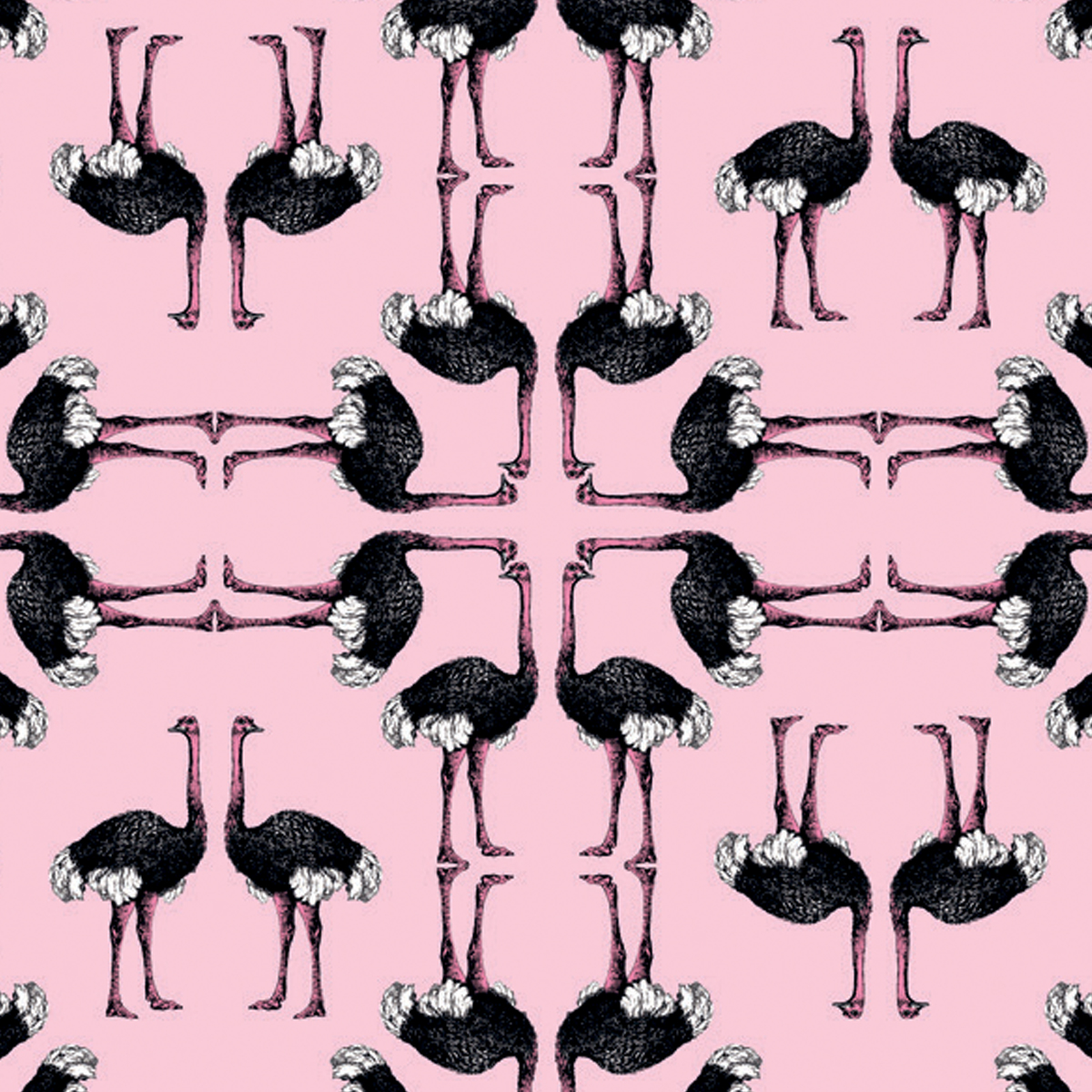 Обои Aura La Tapicera Avestruz Chicle WP181052 10,05×0,53