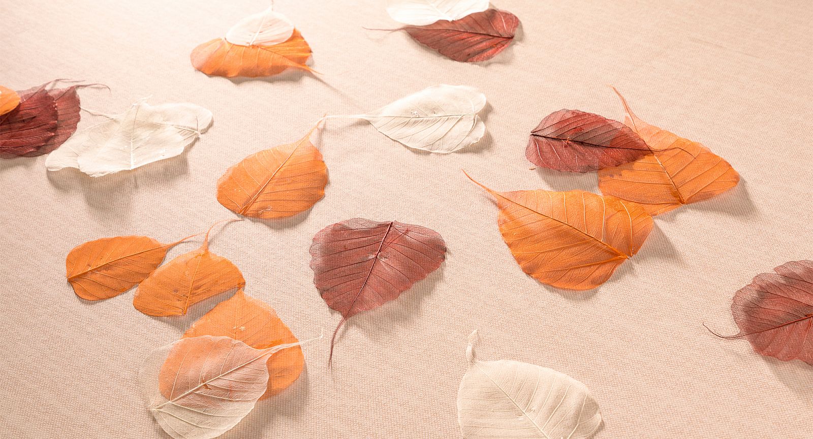 Обои Loymina Shade Cheviot SD2 003/3 10,05×1 фото в интерьере