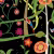 Панно Aura La Tapicera Fridas Garden Night WA192061 3,2×2,12