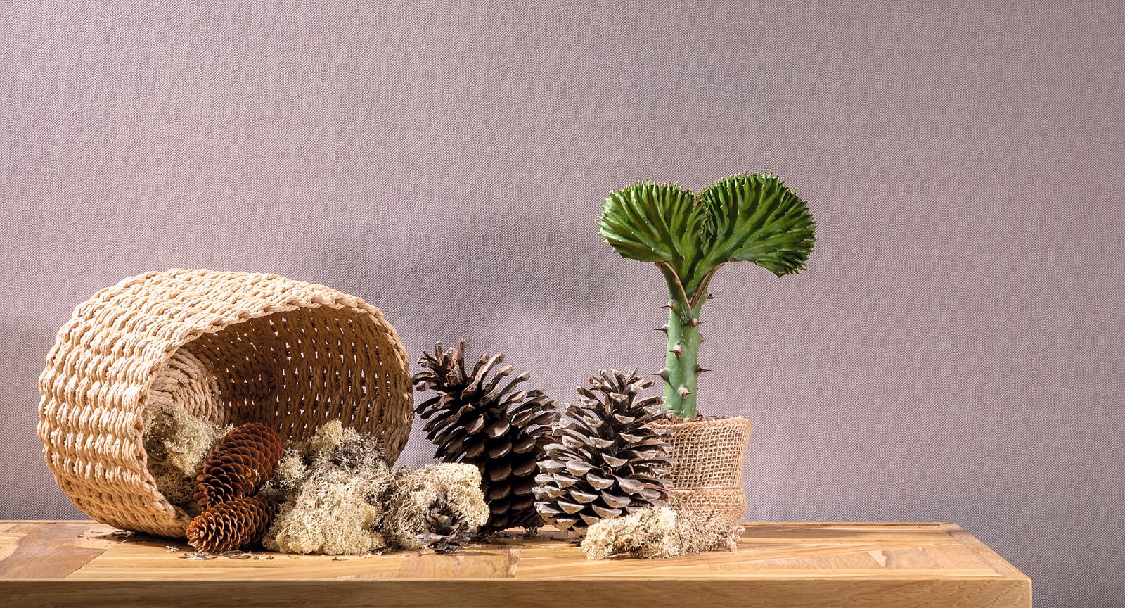 Обои Loymina Shade Cheviot SD2 012/2 10,05×1 фото в интерьере