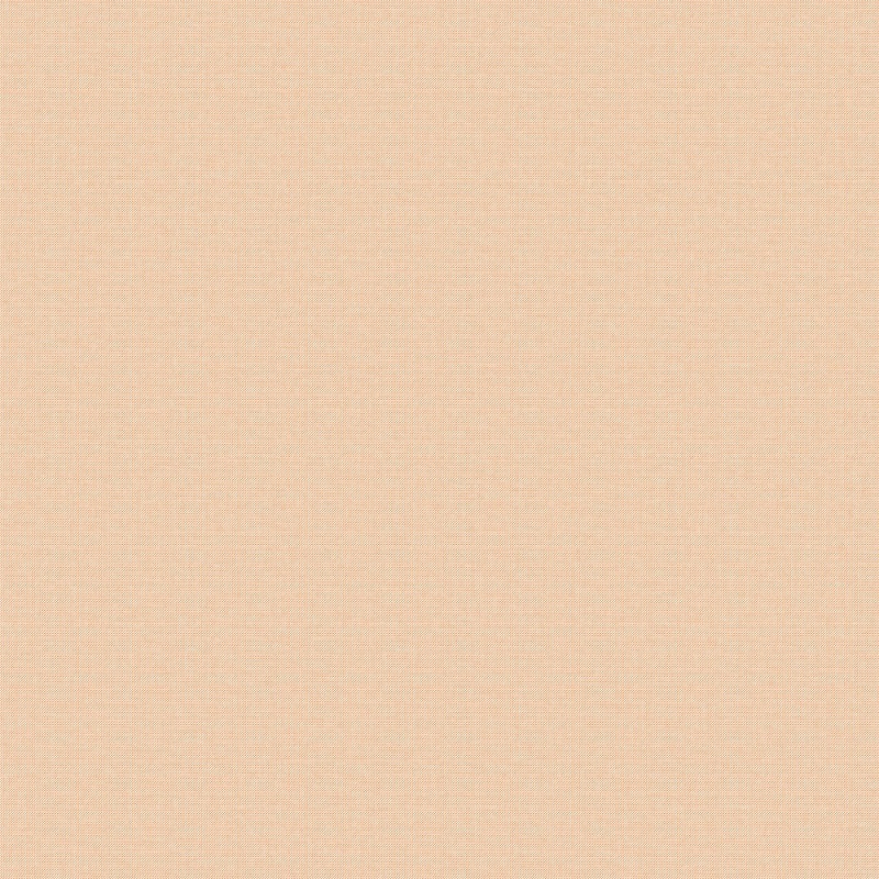 Обои Aura Pippo Plain 463-6 10,05×0,53