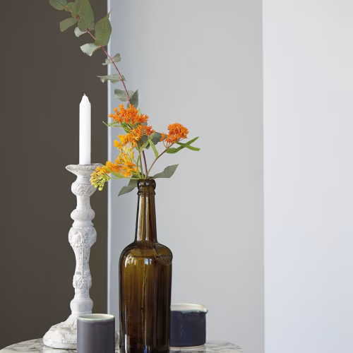 Краска Little Greene цвет Toad 235 Absolute Matt 0,06 л