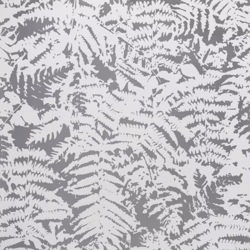 Обои Little Greene 20th Century Papers Fern - Сlearing 0288FECLEAR