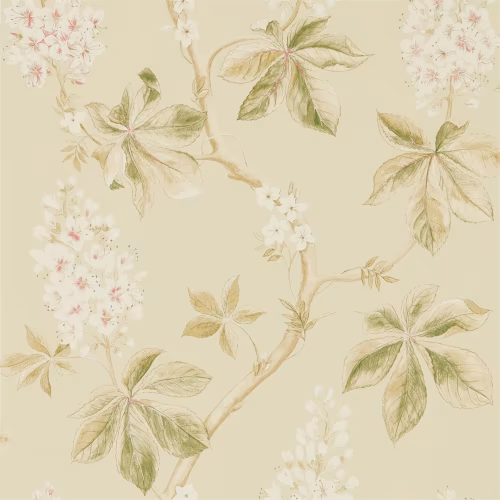 Обои Sanderson Woodland Walk Chestnut Tree 215709