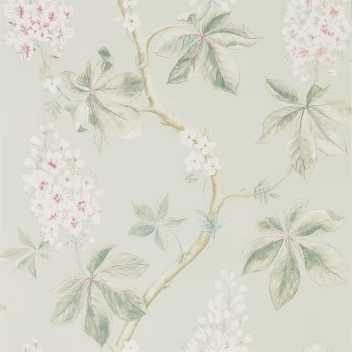 Обои Sanderson Woodland Walk Chestnut Tree 215710