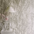 Обои Sanderson Woodland Walk Meadow Canvas 215693 фото в интерьере