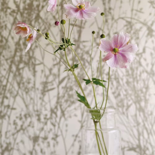 Обои Sanderson Woodland Walk Meadow Canvas 215693