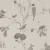 Обои Sanderson Woodland Walk Woodland Chorus 215704