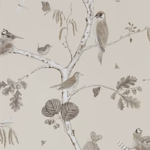 Обои Sanderson Woodland Walk Woodland Chorus 215704
