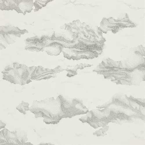 Обои Harlequin Amazilia Nuvola Ink/Mica 111071