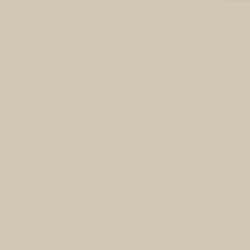 Краска Paint and Paper Library цвет Stone IV 204