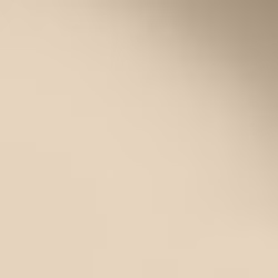 Краска Paint and Paper Library цвет Leather III 233 Pure Flat Emulsion 0,25 л