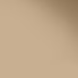 Краска Paint and Paper Library цвет Leather V 235